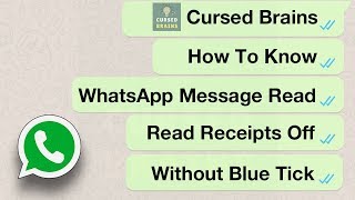How To Know WhatsApp Message Read - Read Receipts Off - Without Blue Tick