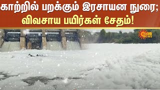 காற்றில் பறக்கும் இரசாயன நுரை...விவசாய பயிர்கள் சேதம்! | Agriculture | Sun News