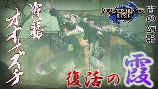 【GWもモンハンライズ！】霞に消える龍隠し！\