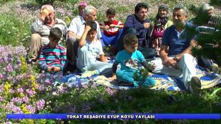 YILDIRIM - TOKAT REŞADİYE EYÜP KÖYÜ YAYLASINDA