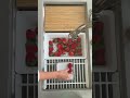 The correct way to wash  strawberries!! | FeelGoodFoodie