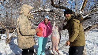 КАЗАХСТАН ! Режем БАРАНА ! Домашний БЕШБАРМАК . Делаем кумыс ! Традиции казахов . АУЛ!