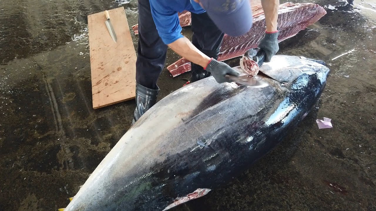 Superb Bluefin Tuna Cutting Skills Youtube
