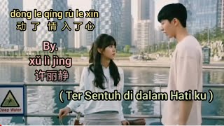 许丽静~动了情入了心 / Dong le qing ru le xin ( Ter sentuh Dalam Hatiku ) Lyrics