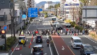 平塚八幡宮20250101大門通り渡り初め 歩道橋からDSCN7625