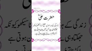 Hazrat Ali ka farman #shorts #urdu #youtube #islamicpreacher #quotes