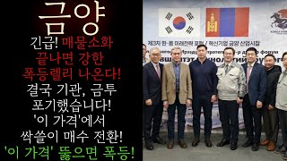 🔵[금양] 긴급! 기관 금투 결국 포기했습니다! 매물소화 후 강한 급등랠리 '이 가격'에서 무조건 나옵니다 양음양 장대양봉패턴 임박! 반드시 지금구간 상승을 대비하세요 #금양목표가