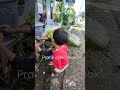 PRANK NYULIK BOCIL#prank #shorts #fyp