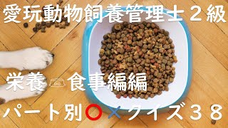 愛玩動物飼養管理士２級〇×クイズ”第Ⅶ編：動物の飼養管理(各論)_栄養・食事編”