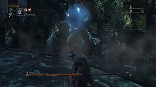 Bloodborne《血源詛咒》有人問俺～怎麼我用聖劍蓄力捅神聖使者後再R2常被踩踏死去？