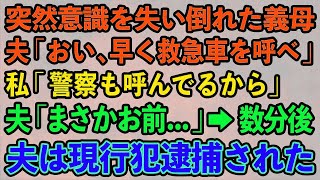 【スカッとする話】突然意識を失い倒れた義母。夫「おい、早く救急車を呼べ」 私「警察も呼んでるから」 夫「まさかお前知っていたのか   」→数分後 夫は現行犯逮捕された【修羅場】