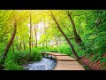 Ultimate Stress Relief - Soothing Music for Relaxation, Meditation and Anxiety Reduction