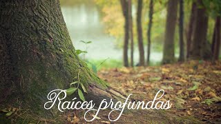 Reflexión - Raíces Profundas