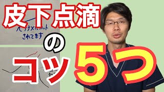 参考にどうぞ！犬猫への皮下点滴のコツのお話【小動物獣医師のお話 vol.82】