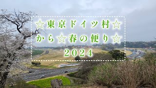 東京ドイツ村から春の便り。2024千葉県袖ヶ浦市。2024.4.6Spring news from Tokyo German Village.