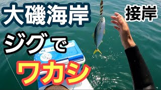 【大磯海岸ワカシ】ショアジギングの向こう側 2021年5月中旬 中潮　大磯サーフ