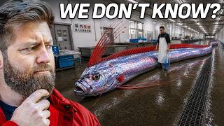 Why Are Deep Sea Creatures Evolving Into Giants