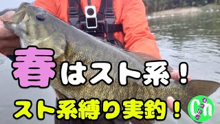 春はスト系が強い‼️ローライトでも魚を引き寄せる釣り方とは！【4月】【5月】【川スモール】【Black bass】