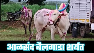 आळसंद बैलगाडा शर्यत | मैदान अपडेट्स | Maidan Updates