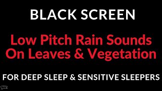 Low Pitch Rain Sounds on Leaves \u0026 Vegetation for Sleeping | Black Screen Sleep Aid