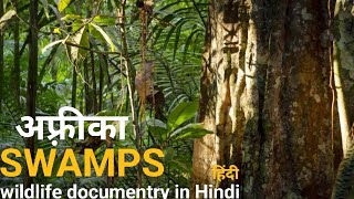 The Eternal swamps - हिंदी डॉक्यूमेंट्री ! Africa wildlife documentry in Hindi