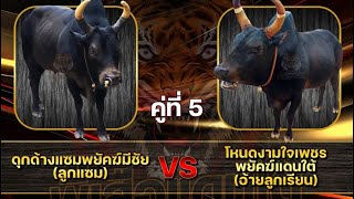 ข้อมูล คู่ 2ล้าน ลูกแซม vs ลูกเรียน #วัวชนสด #พี่เสือแดนใต้ #ดูวัวชนสด #วัวชนวันนี้ #วัวชน #วัวชนสดๆ