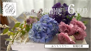 お花の定期便6月号 | 紫陽花と梅雨のお花紹介 | おうちフラワー#53