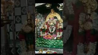 காணக்கிடைக்காத தரிசனம் ஸ்ரீ முருகன் தீபாராதனை