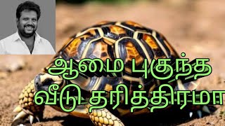 ஆமை புகுந்த வீடு தரித்திரமா | M S Sivakumaar | வாழ்வியல் ஜோதிடர்