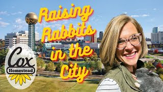 Raising Rabbits in the City: How much space do rabbits need?  Inner City Homestead Rabbits.