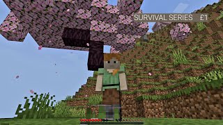 Survival series #1