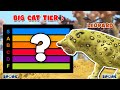 Leopard Tier | Big Cat Family Tier List [S1E2] | SPORE