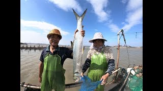 泰叔出海抓到大鱼，泰婶却直说不敢卖，只能自己拿回家腌制成美食