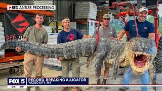 Across America: Giant gator breaks record | FOX 5 News