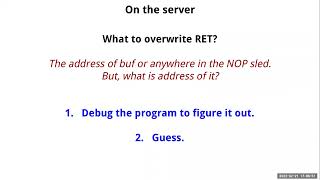 W4L1 Buffer Overflow