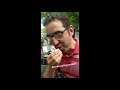 hersheypark s mores taste test