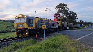 TasRail TR09 TR01 TR14 2006 #33 train crossing Opossum Road