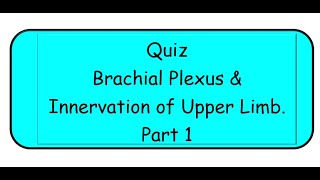 Brachial Plexus & Upper Limb Nerves Quiz