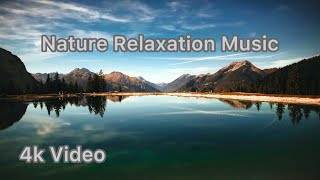 Nature Relaxation Music | 4k Film | Beautiful Nature | Naturalist