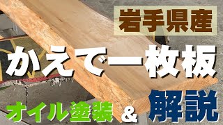 【オイル塗装実演】かえで一枚板×オスモカラー【木の店さんもく】How To Apply Oil Stain Finish To Japanese Maple