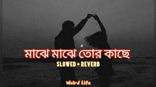 Majhe Majhe Tor Kache [slowed+reverb] || Shreya Ghoshal & Kumar Sanu || Weird Life ✨🖤