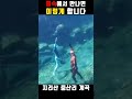 해군 출신들이 물속에서 만나면 하는 일 feat. 계곡은 개골개골