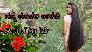 🌺🌿||ಶಾಂಪೂ, ಕಂಡೀಷನರ್ ಯಾವುದು ಬೇಡ||ನೈಸರ್ಗಿಕವಾದ ಶಾಂಪೂ ಕಂಡೀಷನರ್|| 🌺🌿#hair #haircare #hybiscus #vlog