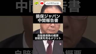 【自賠責保険の闇】 損保ジャパン中間報告書で明らかになった‪コト① 自賠責はノーロス・ノープロフィットだが○○○○○へ計上可能 合わせて自賠基準の慰謝料についても解説 #ビッグモーター #兼重宏一