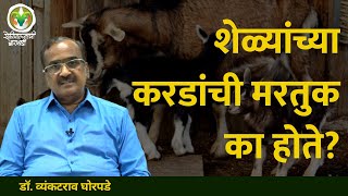 Goat Farming Guide Part - 7 |  शेळ्यांच्या करडांची मरतुक एक ज्वलंत समस्या | ॲग्रोवन