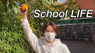 [ENG] 수능 D-7...학교에서 감 따는 고3 바보들☄️☄️ | VLOG