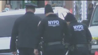 NYPD neighborhood safety teams roll out