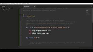 Perceptron Algorithm Implementation in Python from scratch