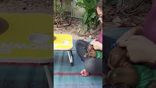 Jina Jealous Susy When Mom Not Hold Her #cuteanimals #shortvideo #cute