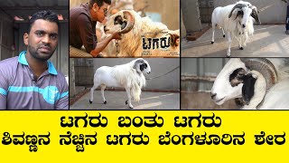 12 ಲಕ್ಷಕ್ಕೆ ಕೇಳಿದರು ಟಗರು ಮೂವಿಯ ಶೇರ I Shera Tagaru Movie